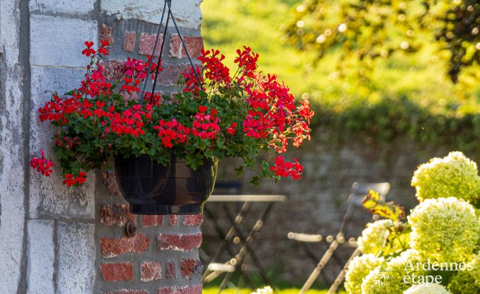 Magnifique villa de luxe � Herve, Ardenne