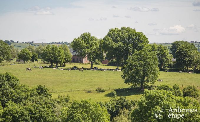 Maison de vacances � Herve pour 14 personnes en Ardenne