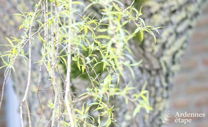 Maison de vacances � Herve pour 12/14 personnes en Ardenne