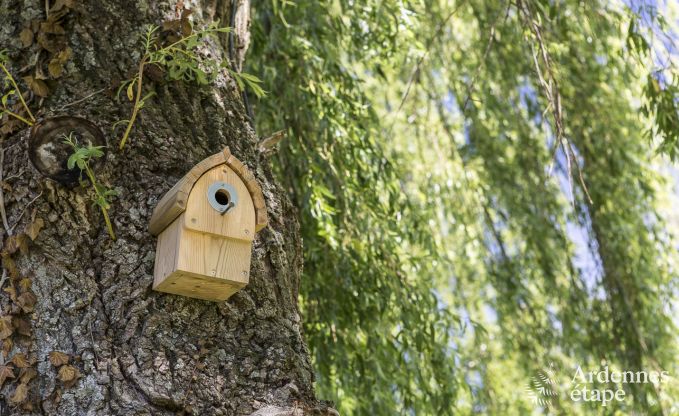 Maison de vacances  Herve pour 14 personnes en Ardenne