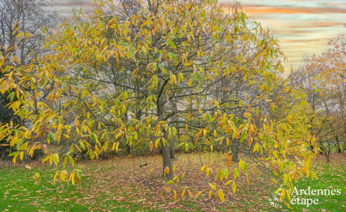 Maison de vacances pour 12 personnes dans le Pays de Herve