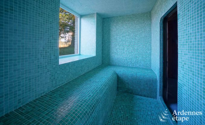 Ch�teau � Hockai pour 20 personnes en Ardenne