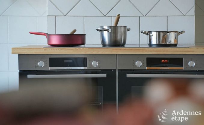 Ch�teau � Hockai pour 20 personnes en Ardenne