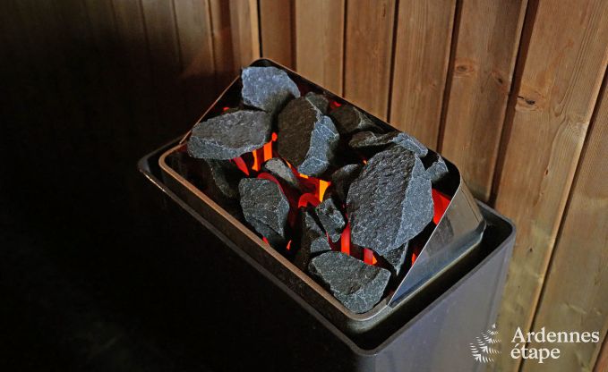 Ch�teau � Hockai pour 20 personnes en Ardenne