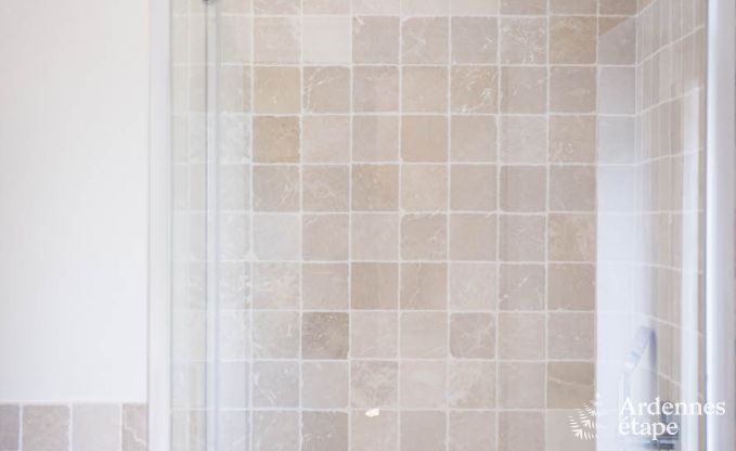 Villa de Luxe � Hockai pour 44 personnes en Ardenne