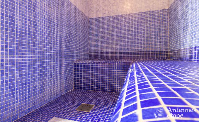 Villa de luxe 24 pers. à Hockai avec piscine intérieure et wellness