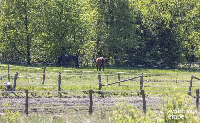 Villa de Luxe � Hockai pour 14 personnes en Ardenne