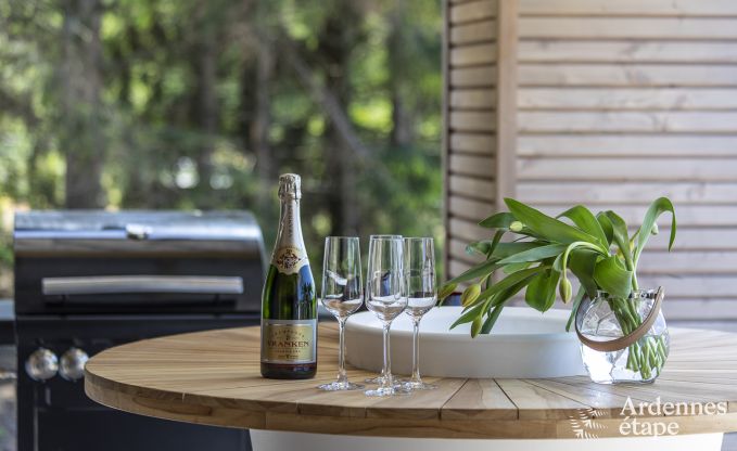 Villa de Luxe � Hockai pour 14 personnes en Ardenne