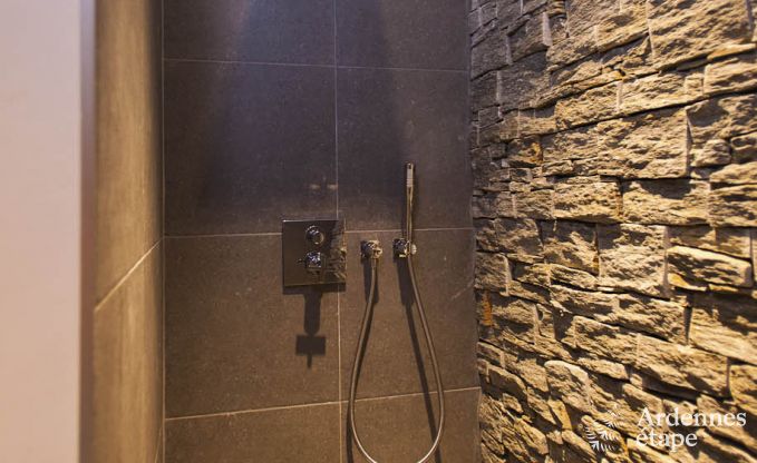 Villa de Luxe  Hockai pour 44 personnes en Ardenne