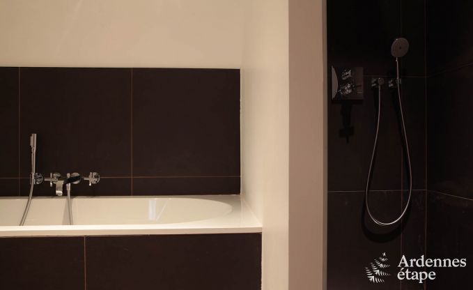 Villa de Luxe  Hockai pour 44 personnes en Ardenne