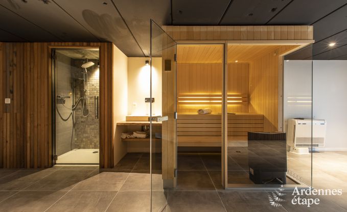 Villa de Luxe � Hockai pour 14 personnes en Ardenne