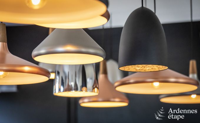 Villa de Luxe � Hockai pour 14 personnes en Ardenne