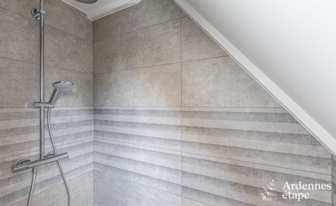 Gite de charme � Hombourg pour 12 personnes en Ardenne