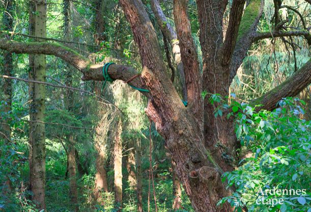 Gite de charme � Hotton pour 9 personnes en Ardenne