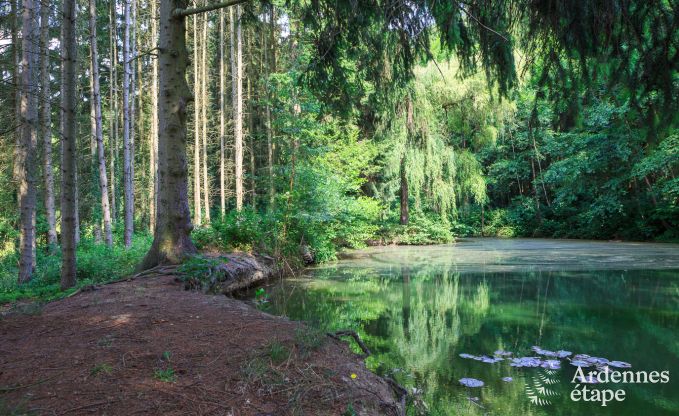 Gite de charme � Hotton pour 9 personnes en Ardenne