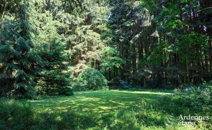 Gite de charme � Hotton pour 9 personnes en Ardenne