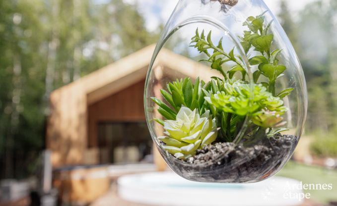 Chalet � Hotton pour 4/6 personnes en Ardenne