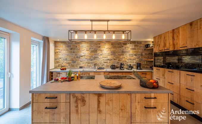 Grande maison de vacances pour 15 personnes � Hotton, Ardenne, avec 6 chambres et salles de bains, chemin�e, billard et terrasse avec brasero