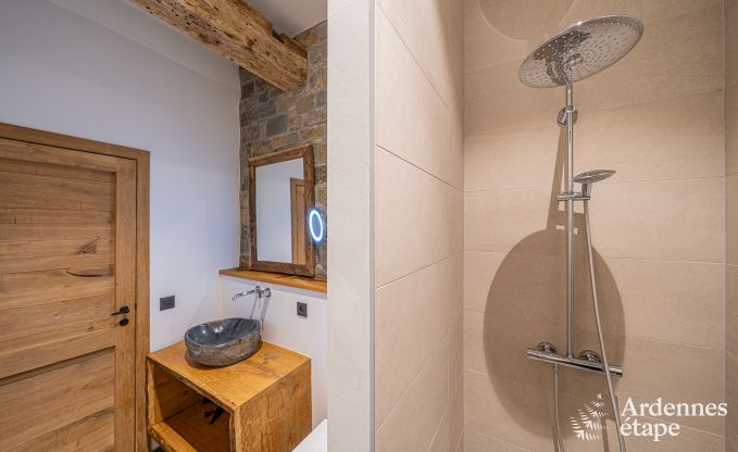 Grande maison de vacances pour 15 personnes � Hotton, Ardenne, avec 6 chambres et salles de bains, chemin�e, billard et terrasse avec brasero