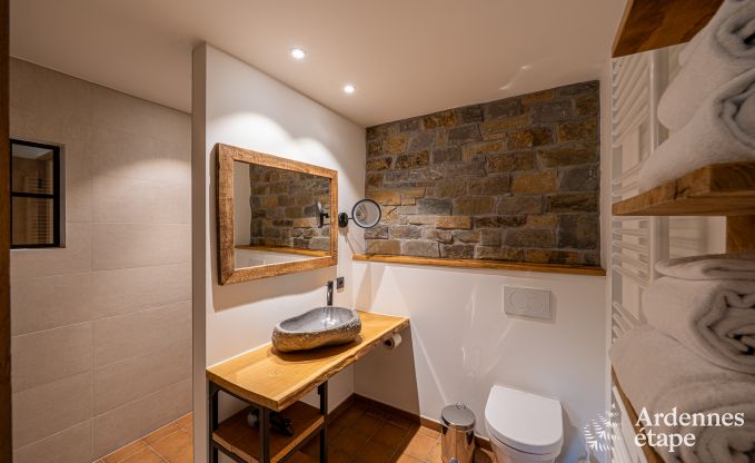 Grande maison de vacances pour 15 personnes � Hotton, Ardenne, avec 6 chambres et salles de bains, chemin�e, billard et terrasse avec brasero