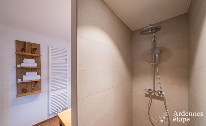 Grande maison de vacances pour 15 personnes � Hotton, Ardenne, avec 6 chambres et salles de bains, chemin�e, billard et terrasse avec brasero