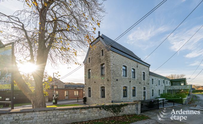 Grande maison de vacances pour 15 personnes � Hotton, Ardenne, avec 6 chambres et salles de bains, chemin�e, billard et terrasse avec brasero