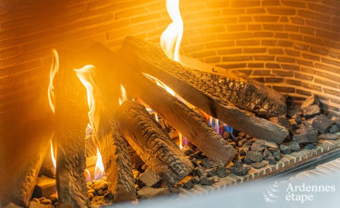 Grande maison de vacances pour 15 personnes � Hotton, Ardenne, avec 6 chambres et salles de bains, chemin�e, billard et terrasse avec brasero
