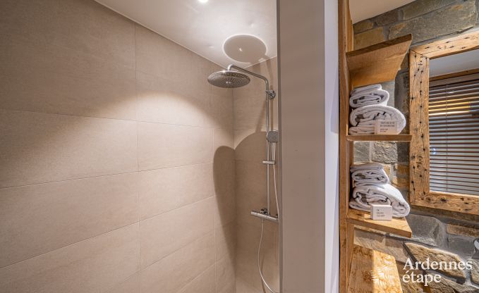 Grande maison de vacances pour 15 personnes � Hotton, Ardenne, avec 6 chambres et salles de bains, chemin�e, billard et terrasse avec brasero