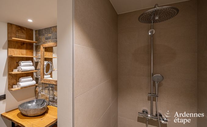 Grande maison de vacances pour 15 personnes � Hotton, Ardenne, avec 6 chambres et salles de bains, chemin�e, billard et terrasse avec brasero