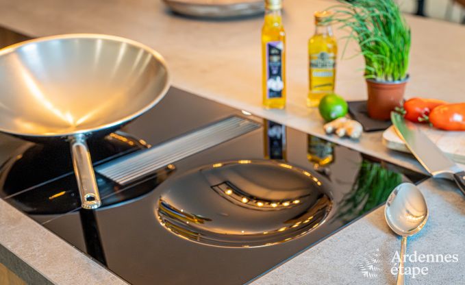 Grande maison de vacances pour 15 personnes � Hotton, Ardenne, avec 6 chambres et salles de bains, chemin�e, billard et terrasse avec brasero