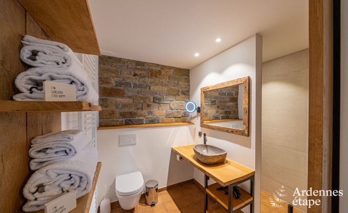 Grande maison de vacances pour 15 personnes � Hotton, Ardenne, avec 6 chambres et salles de bains, chemin�e, billard et terrasse avec brasero