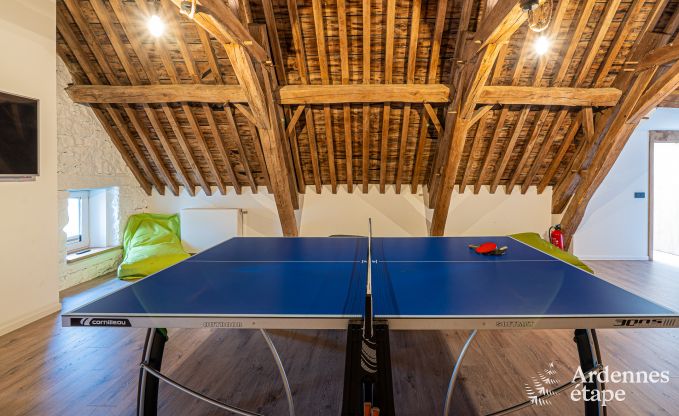 Grande maison de vacances pour 15 personnes � Hotton, Ardenne, avec 6 chambres et salles de bains, chemin�e, billard et terrasse avec brasero