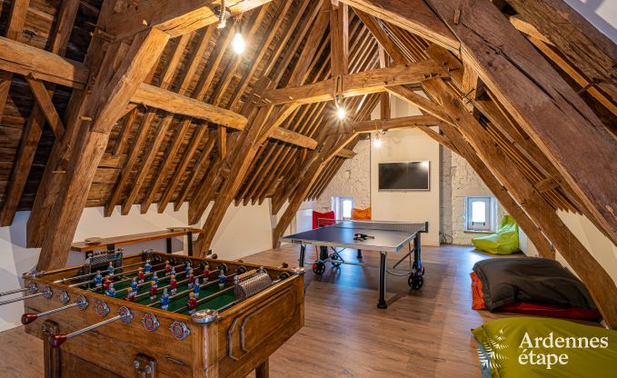 Grande maison de vacances pour 15 personnes � Hotton, Ardenne, avec 6 chambres et salles de bains, chemin�e, billard et terrasse avec brasero