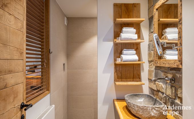 Grande maison de vacances pour 15 personnes � Hotton, Ardenne, avec 6 chambres et salles de bains, chemin�e, billard et terrasse avec brasero