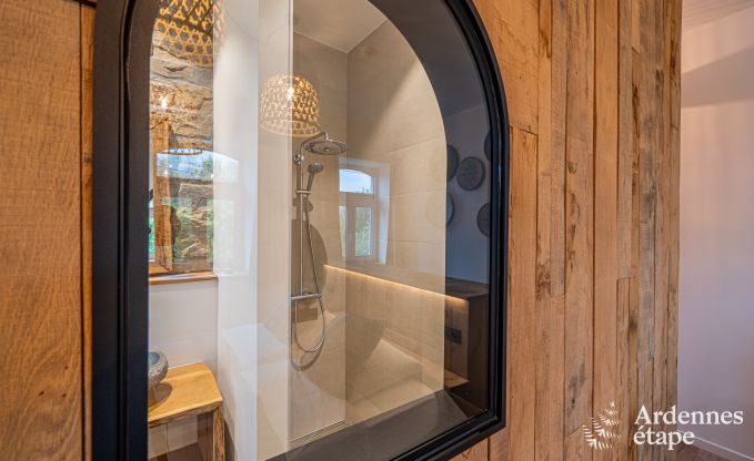 Grande maison de vacances pour 15 personnes � Hotton, Ardenne, avec 6 chambres et salles de bains, chemin�e, billard et terrasse avec brasero