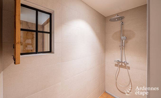 Grande maison de vacances pour 15 personnes � Hotton, Ardenne, avec 6 chambres et salles de bains, chemin�e, billard et terrasse avec brasero