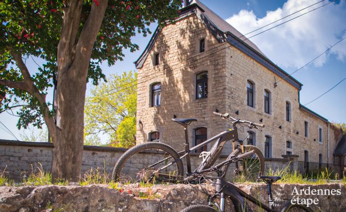 Grande maison de vacances pour 15 personnes � Hotton, Ardenne, avec 6 chambres et salles de bains, chemin�e, billard et terrasse avec brasero