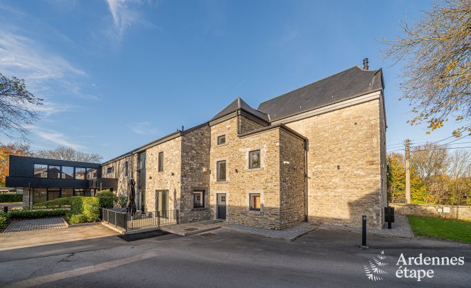 Grande maison de vacances pour 15 personnes � Hotton, Ardenne, avec 6 chambres et salles de bains, chemin�e, billard et terrasse avec brasero