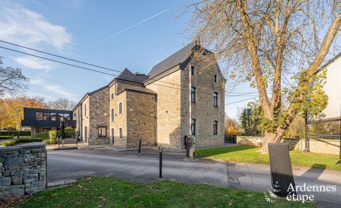 Grande maison de vacances pour 15 personnes � Hotton, Ardenne, avec 6 chambres et salles de bains, chemin�e, billard et terrasse avec brasero