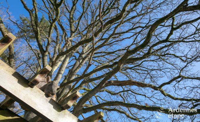 Maison de vacances  Hotton pour 9 personnes en Ardenne