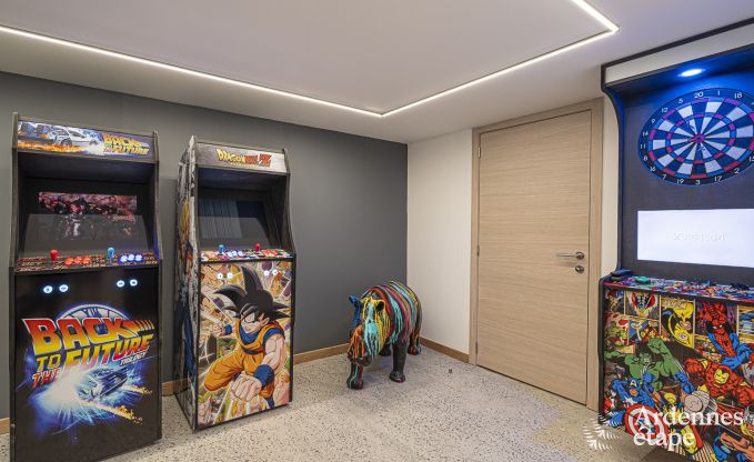 Villa de Luxe  Hotton pour 12 personnes en Ardenne