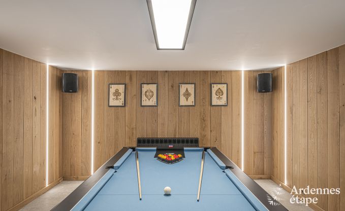 Villa de Luxe  Hotton pour 12 personnes en Ardenne