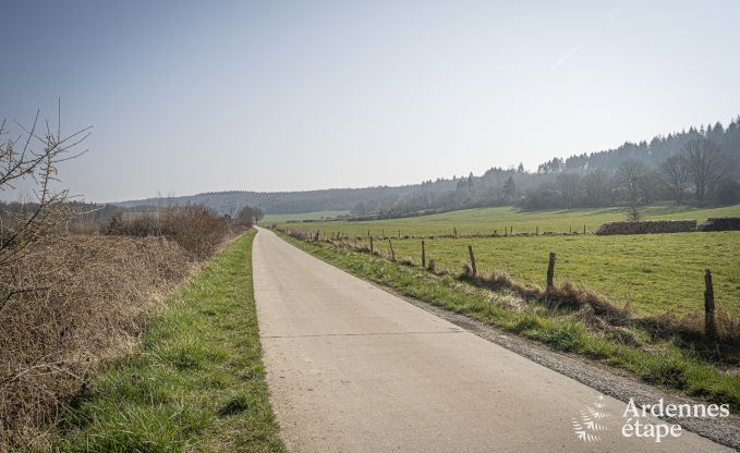 Villa de Luxe  Hotton pour 12 personnes en Ardenne