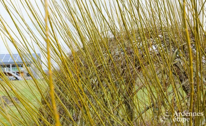 Maison de vacances � Houffalize (Engreux) pour 9 personnes en Ardenne