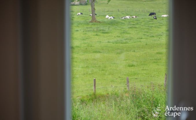 Tiny house � la r�serve naturelle Canal de Bernistap � Houffalize, Ardenne