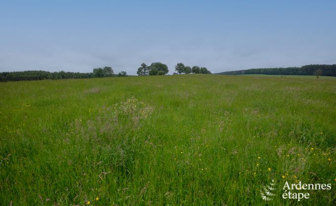Tiny house � la r�serve naturelle Canal de Bernistap � Houffalize, Ardenne