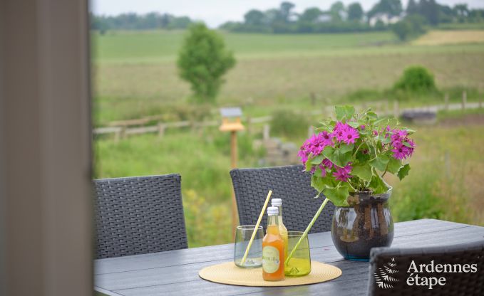 Tiny house � la r�serve naturelle Canal de Bernistap � Houffalize, Ardenne