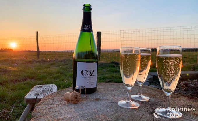 Maison de vacances � Houffalize pour 10/12 personnes en Ardenne