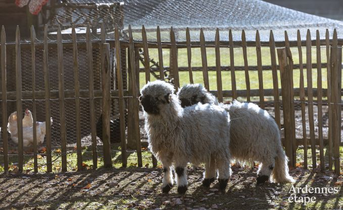 Maison de vacances � Houffalize pour 9 personnes en Ardenne