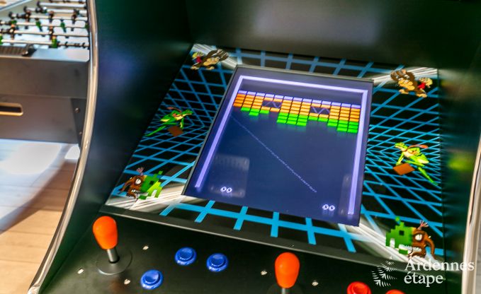 Villa de luxe au cur de Houffalize : maison de vacances pour 24 personnes avec sauna, jacuzzi et salle de jeux en Ardenne